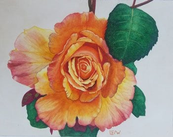 Painting of rose