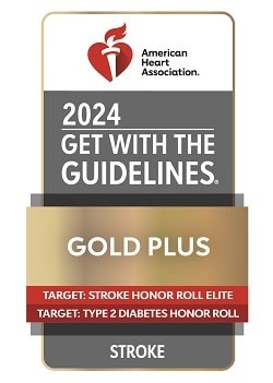 Get With the Guidelines Stroke Gold Plus Award