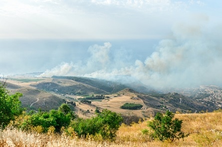 Wildfire and smoky skies