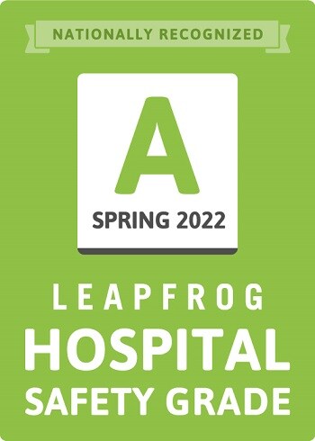 Leapfrog spring 2022 logo