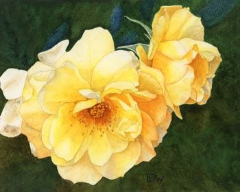 Painting of rose