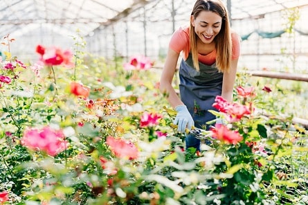 A Woman Gardening