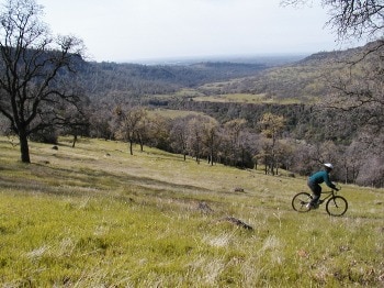 Person riding a bike